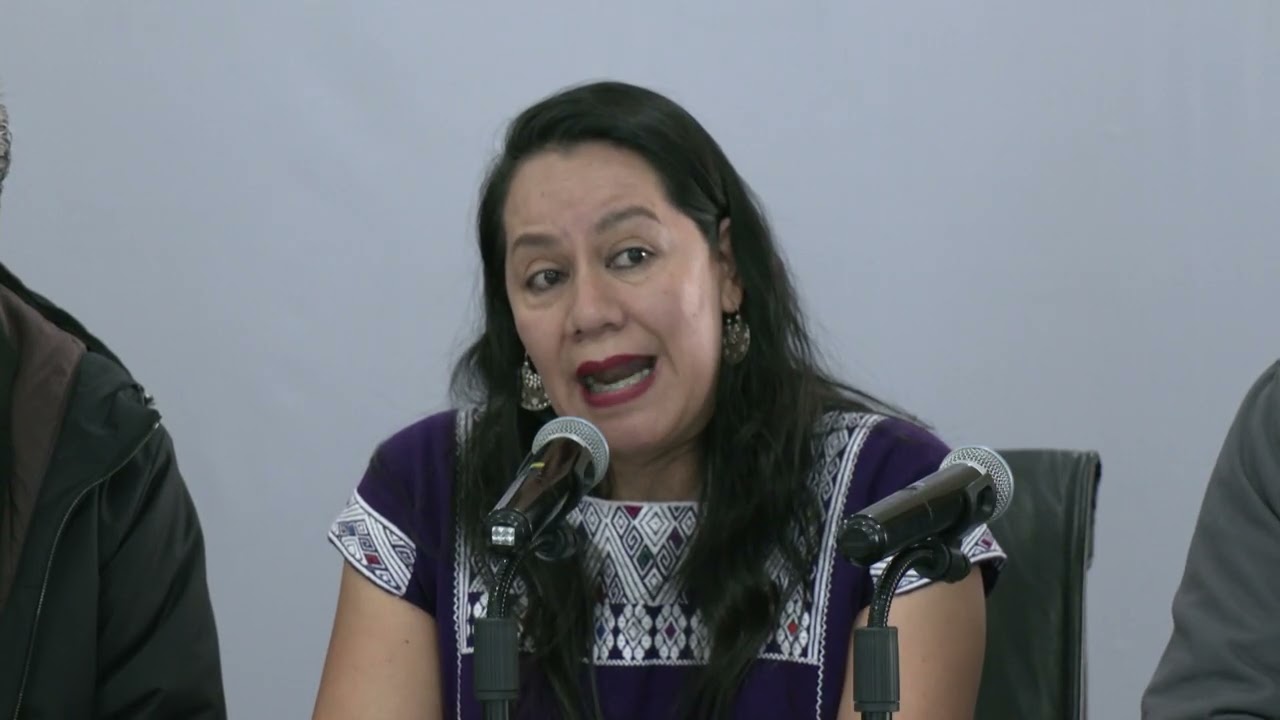 Anuncian compra de 80 mil toneladas de frijol en Zacatecas