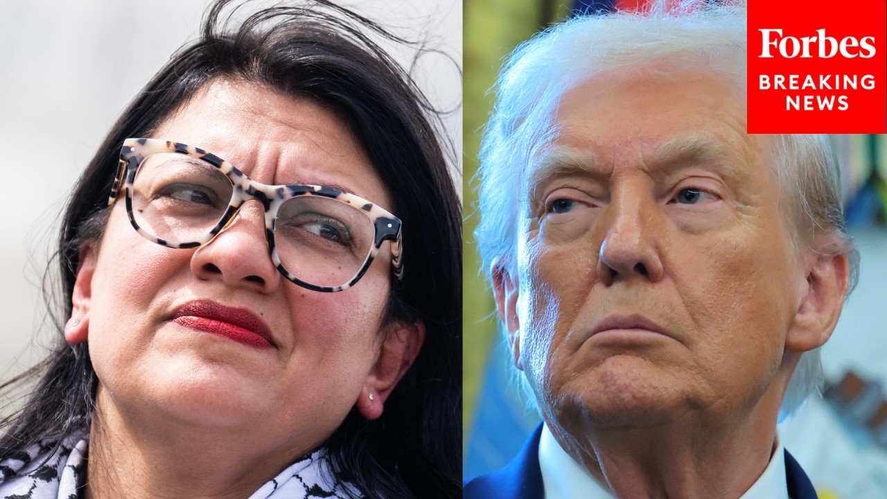 'He's Not Lying': Tlaib Warns Trump Will Deploy ICE At Polling Stations To 'Intimidate' Voters
