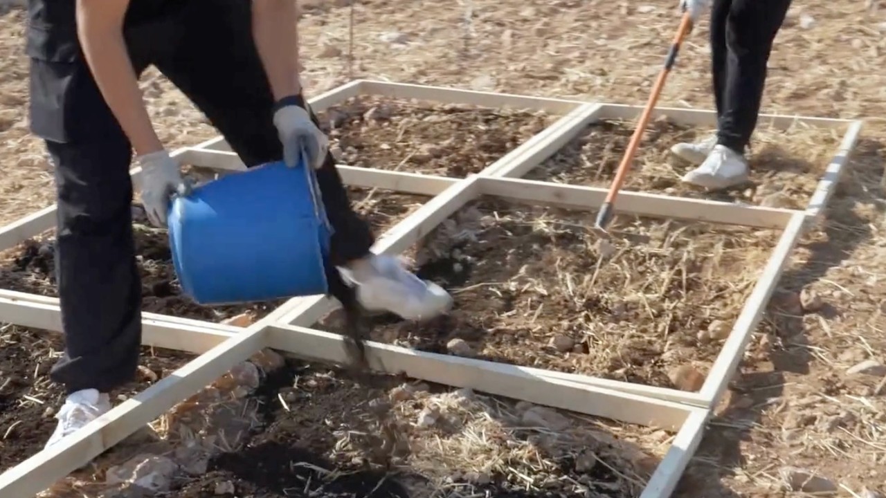 Innovations testing in Cyprus