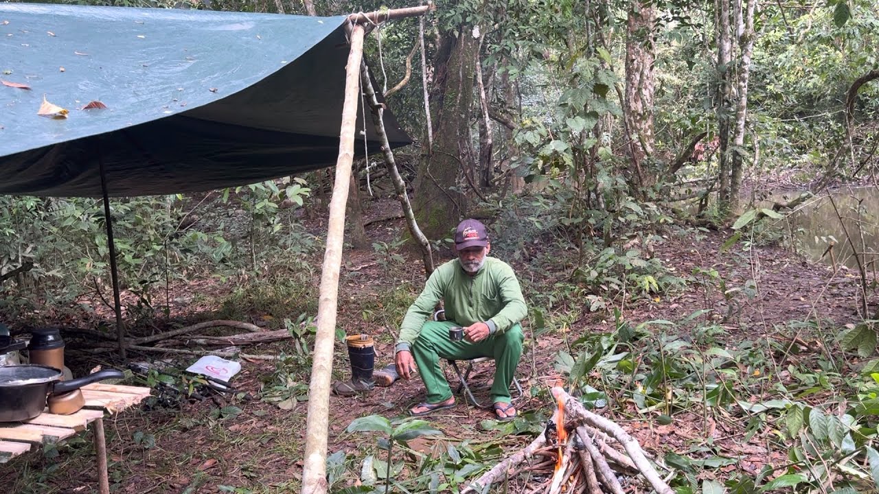🏕️ACAMPAMENTO EM MEIO A NATUREZA COM VIZITA DE ANIMAIS E PÁSSAROS 