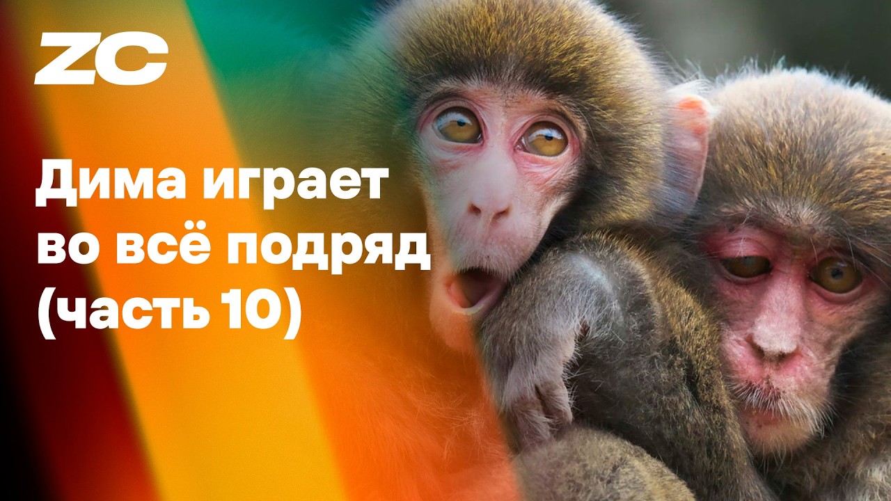 Дима Играет Во Всё Подряд (ДИВВП, часть 10) &ndash; стрим Завтракаста