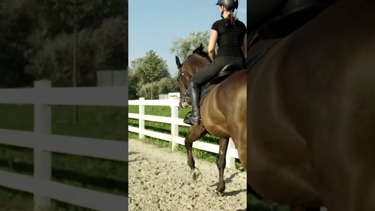 Are You Tipping Forward in the Canter??  