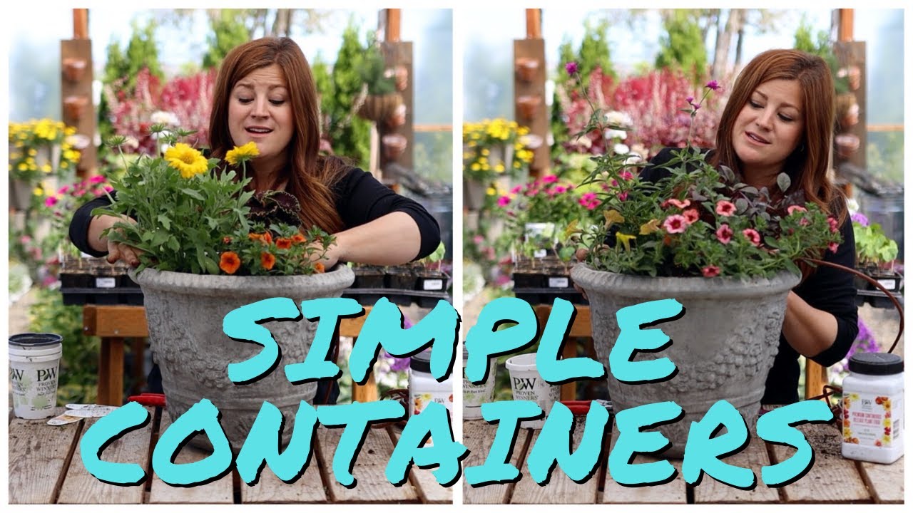Flower Alley Experiment: Simple Container Ideas for Full Sun! ☀️🌿🙌// Garden Answer