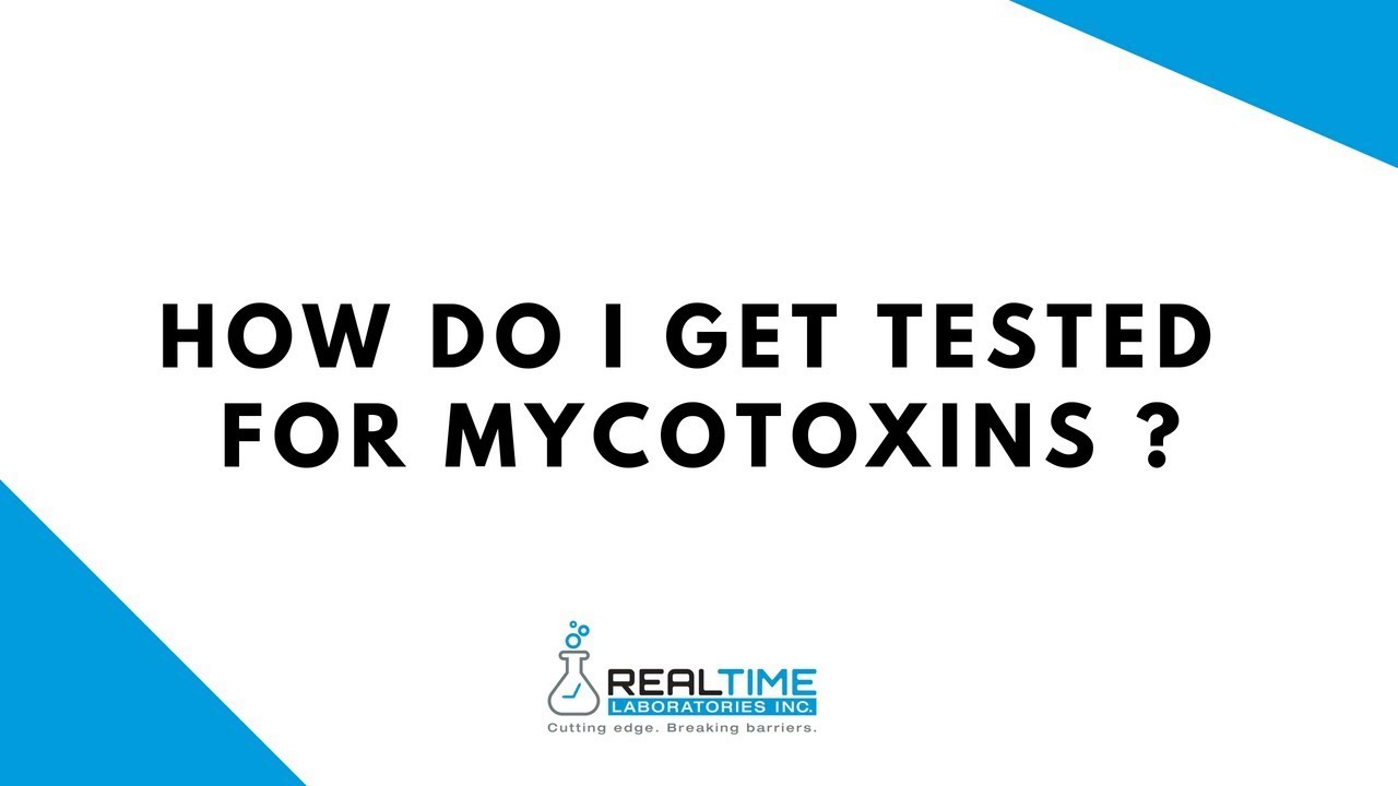 How Do I Get Tested For Mycotoxins