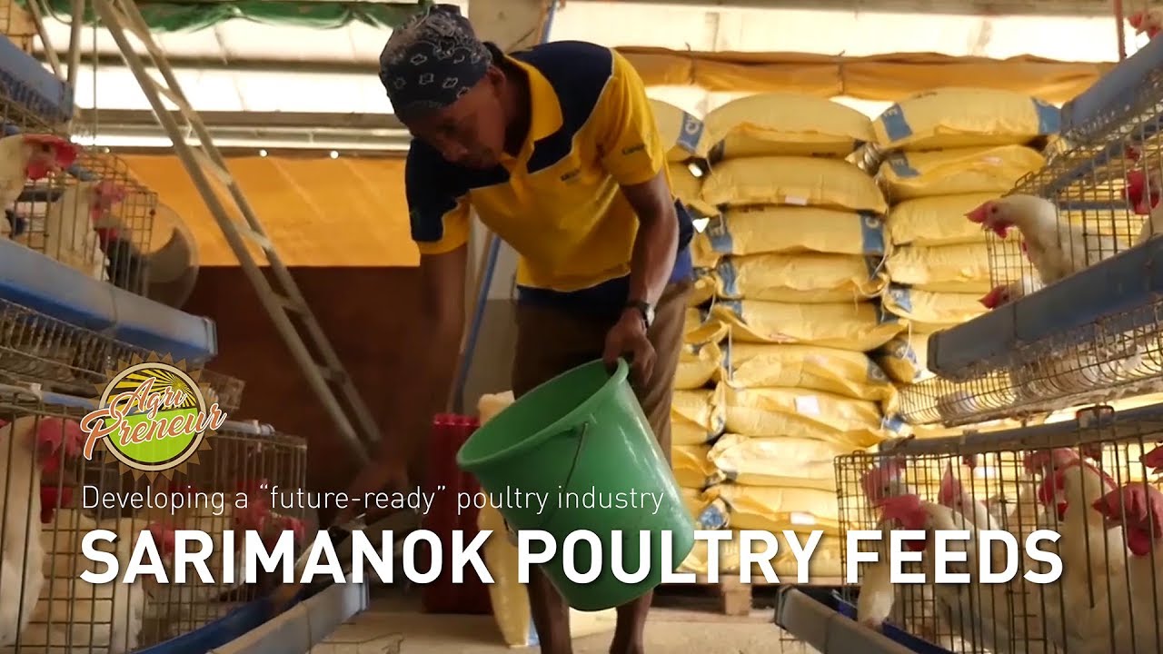 Agripreneur: Sarimanok's take on a future-ready poultry farming
