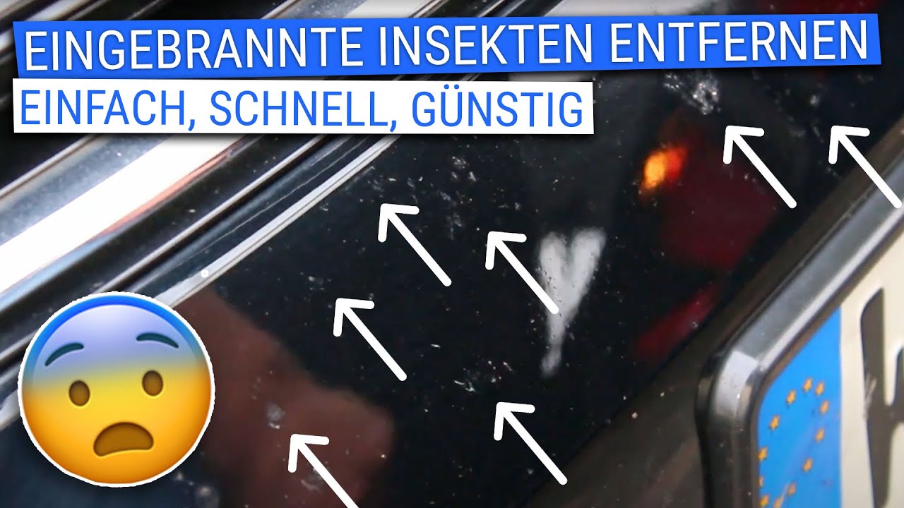 So GÜNSTIG, SCHNELL und EINFACH entfernst du EINGEBRANNTE INSEKTEN vom Autolack! QUICKIE
