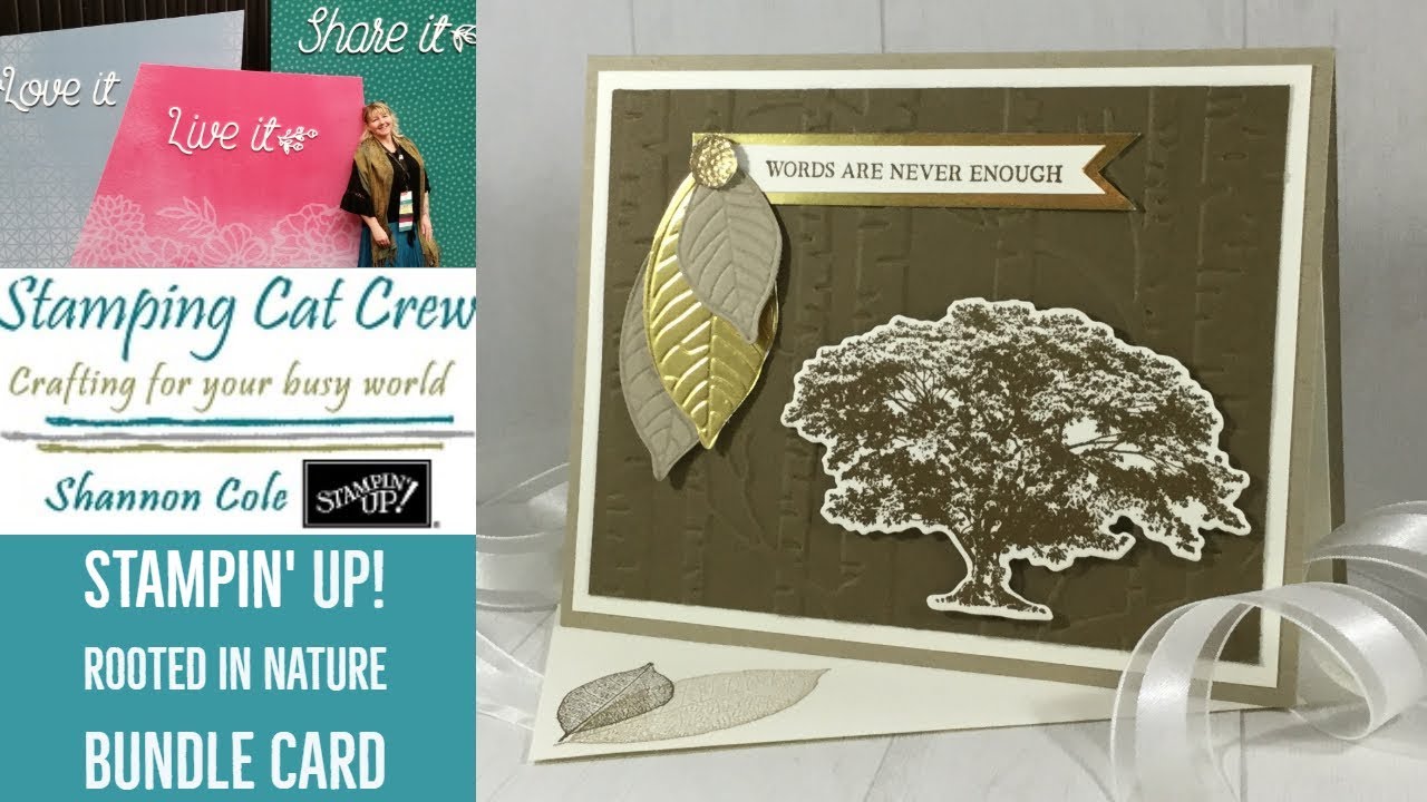 Stampin Up Rooted in Nature Bundle card & how the embossing framelits work