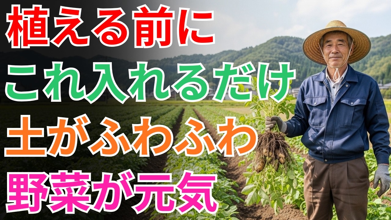 【まだそのまま植えてるの？】プロが教える「最強の土」の作り方と裏ワザ！苗が無駄になる前に、この動画を最後まで見てください！【かぼちゃ栽培】【土づくり】【家庭菜園】