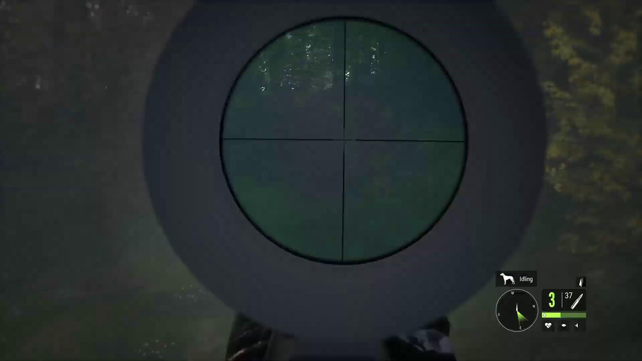 The Hunter Call of The Wild