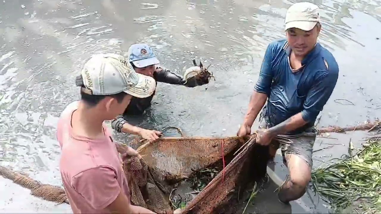 Hôm nay cùng Học đi bắt cá thấy ham luôn cả nhà 
