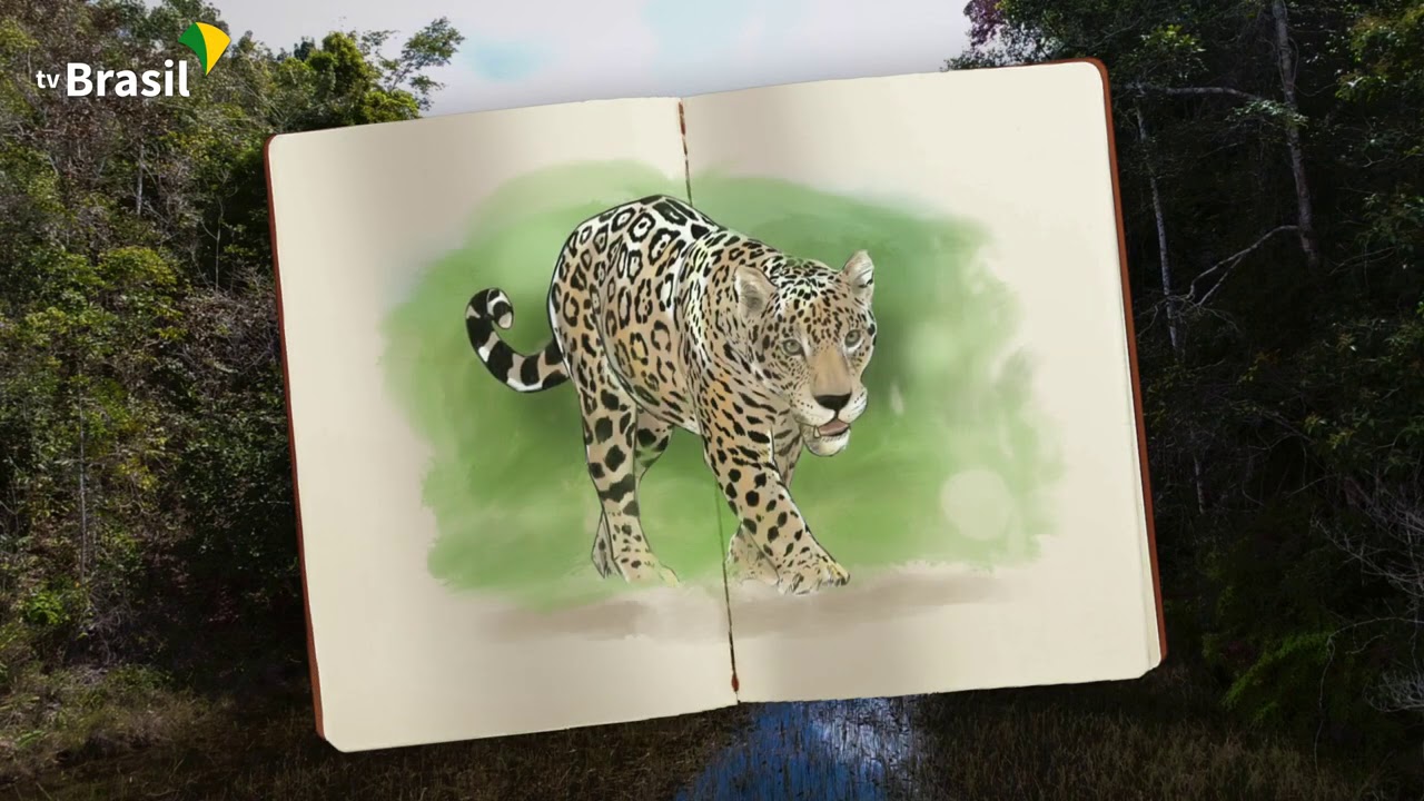 Parque Nacional do Descobrimento | Parques do Brasil