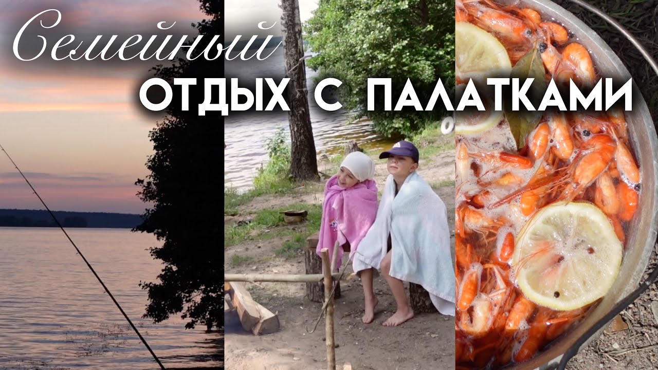 Семейный отдых в Десногорске с палатками | Много рыбы и креветок | Книги Никея