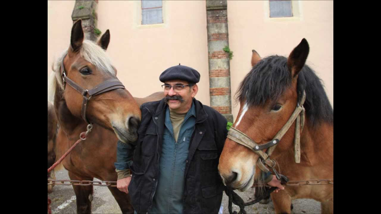 FOIRE ANNEYRON 2013 HD