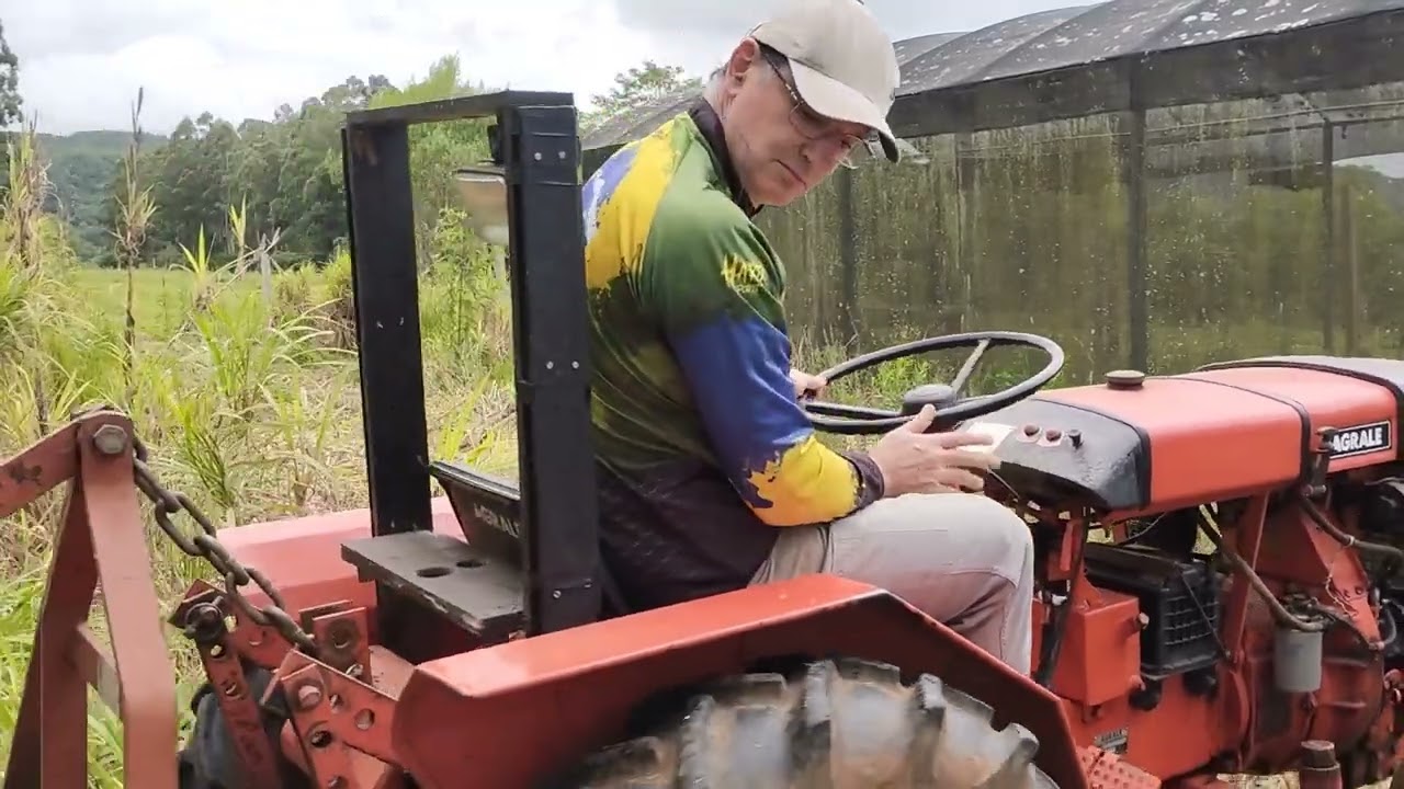 Roçando capim Kurumi com Agrale 4100