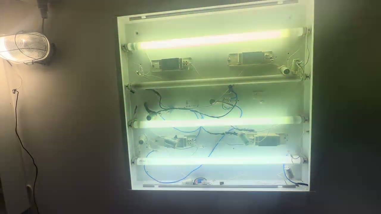 1 eol tube 18w