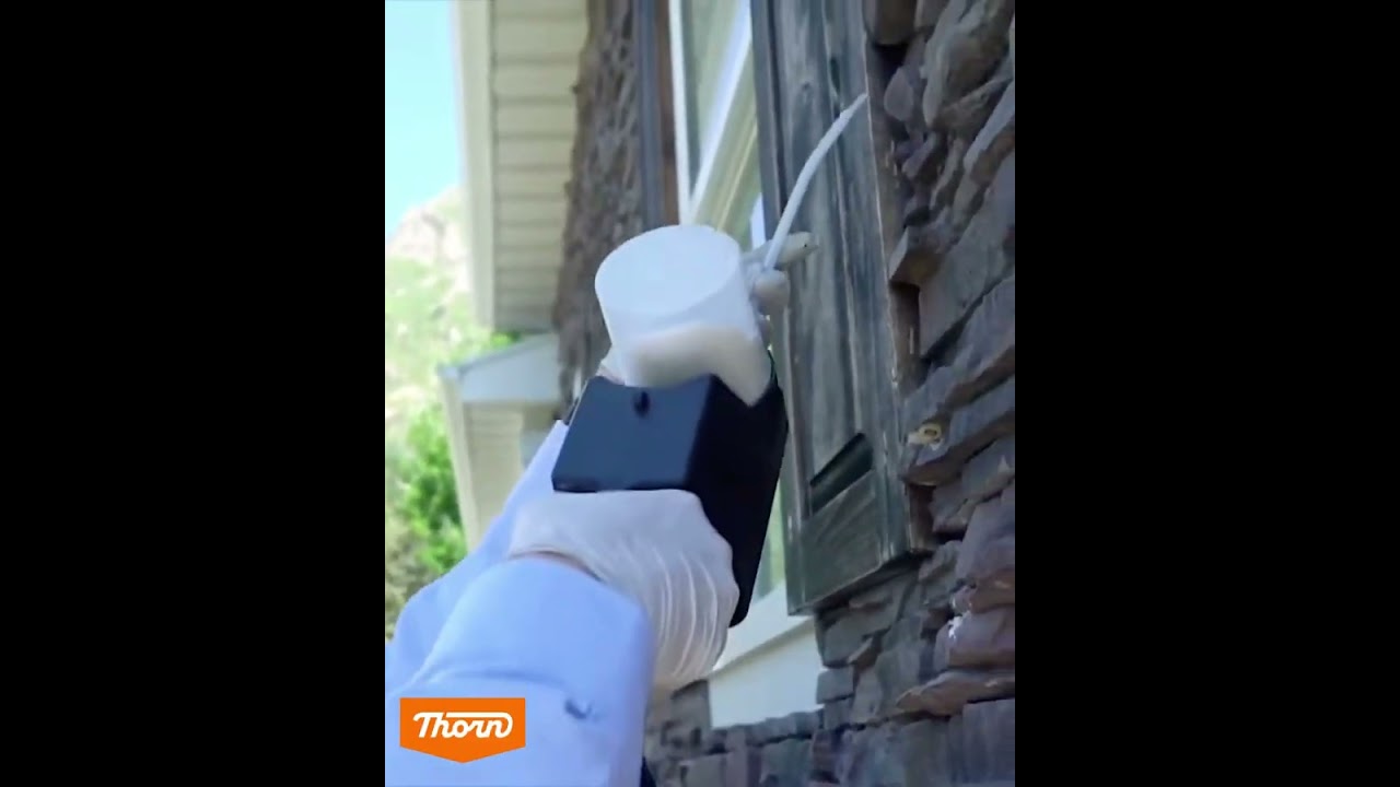 Stop Pests Before They Spread &ndash; Schedule Your Thorn Inspection Now!