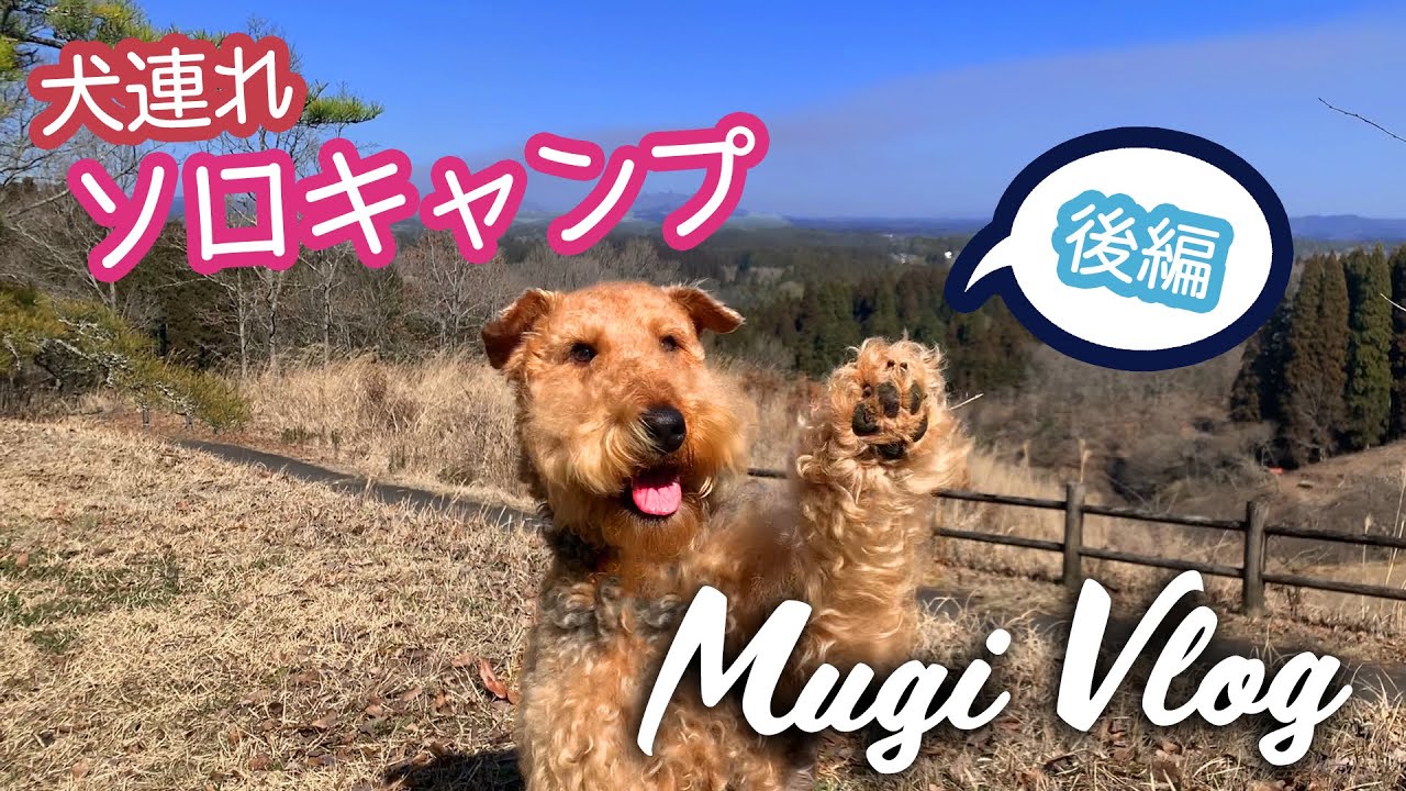 犬連れ ソロキャンプ 服掛松キャンプ場【後編】ＭugiVlog02