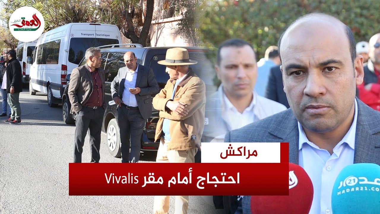 فيفاليس تغضب 