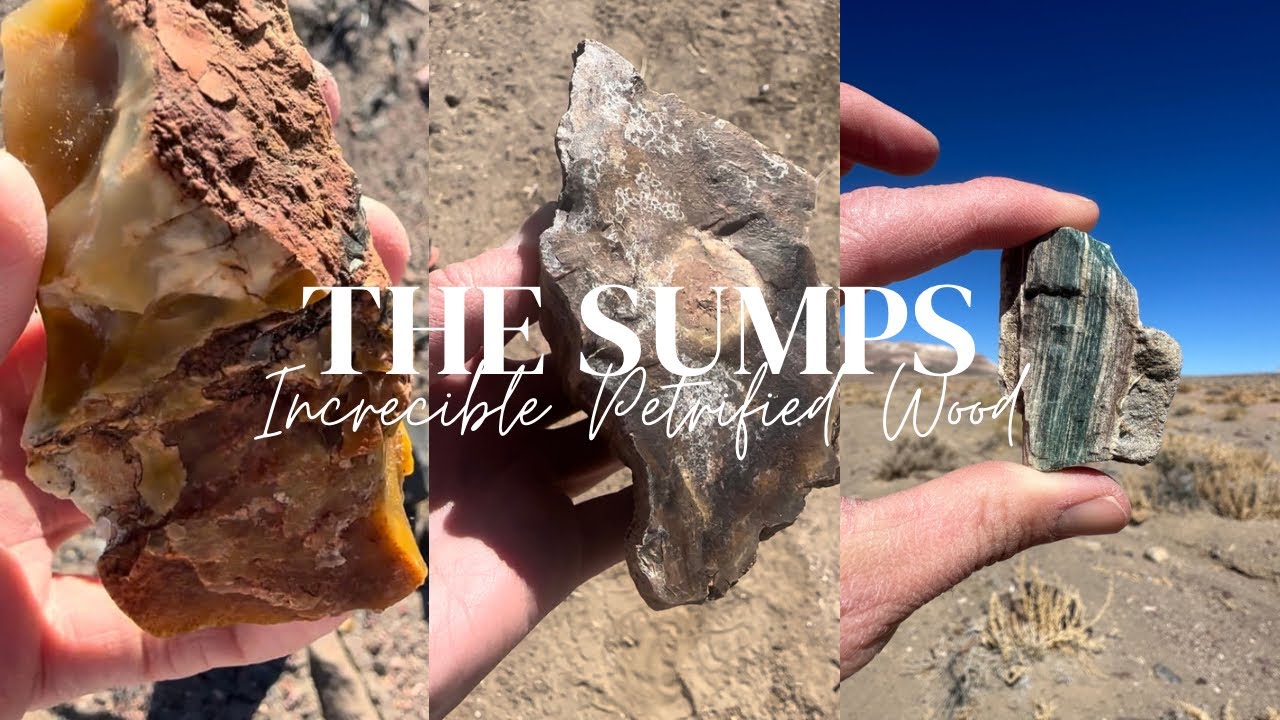 The Sumps in Nevada
