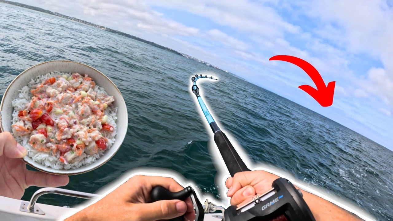 Pêche en Traine au Pays Basque ! [Catch and Cook]