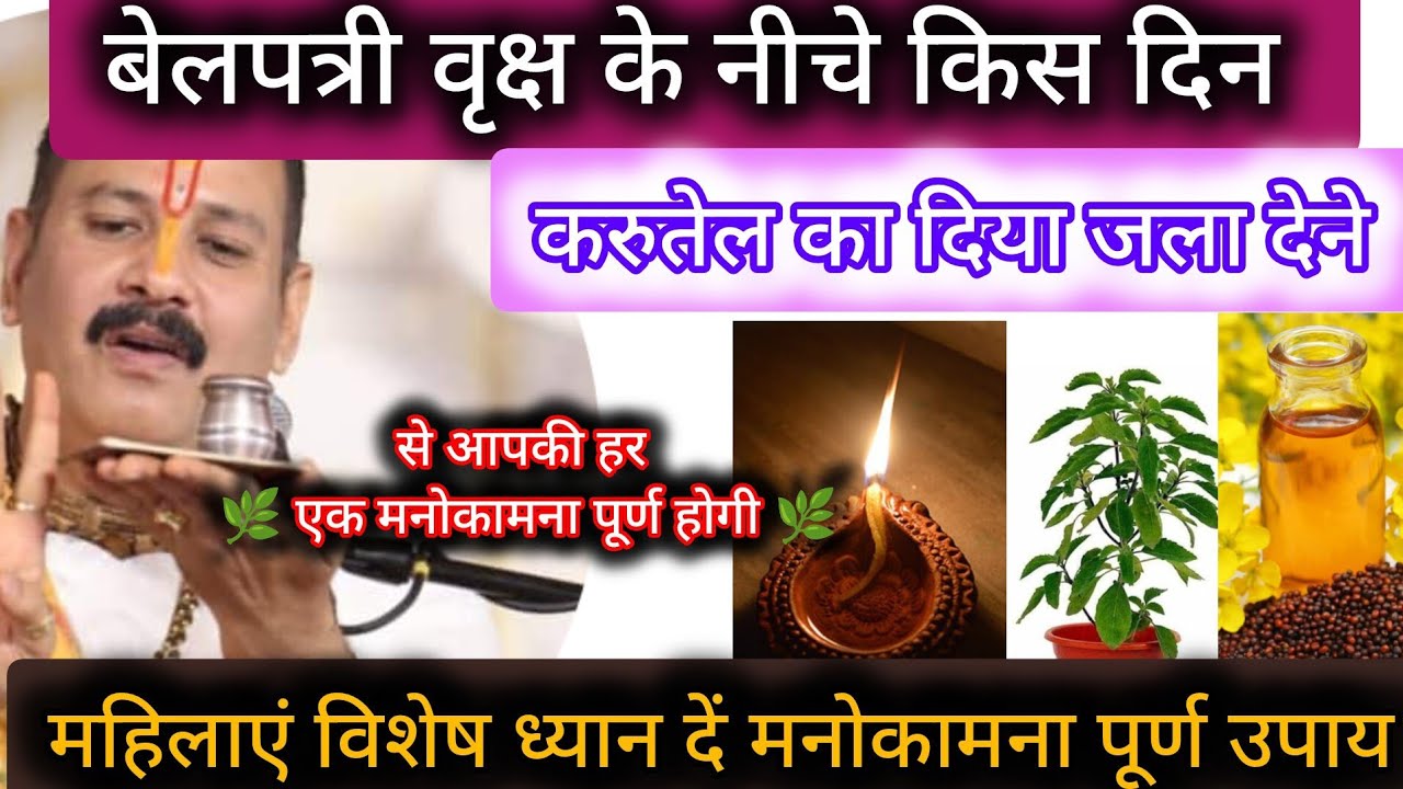 बेलपत्री वृक्ष के नीचे दिन करुतेल का दिया जला देने से आपकी हर एक मनोकामना पूर्ण होगी चूकना मत 