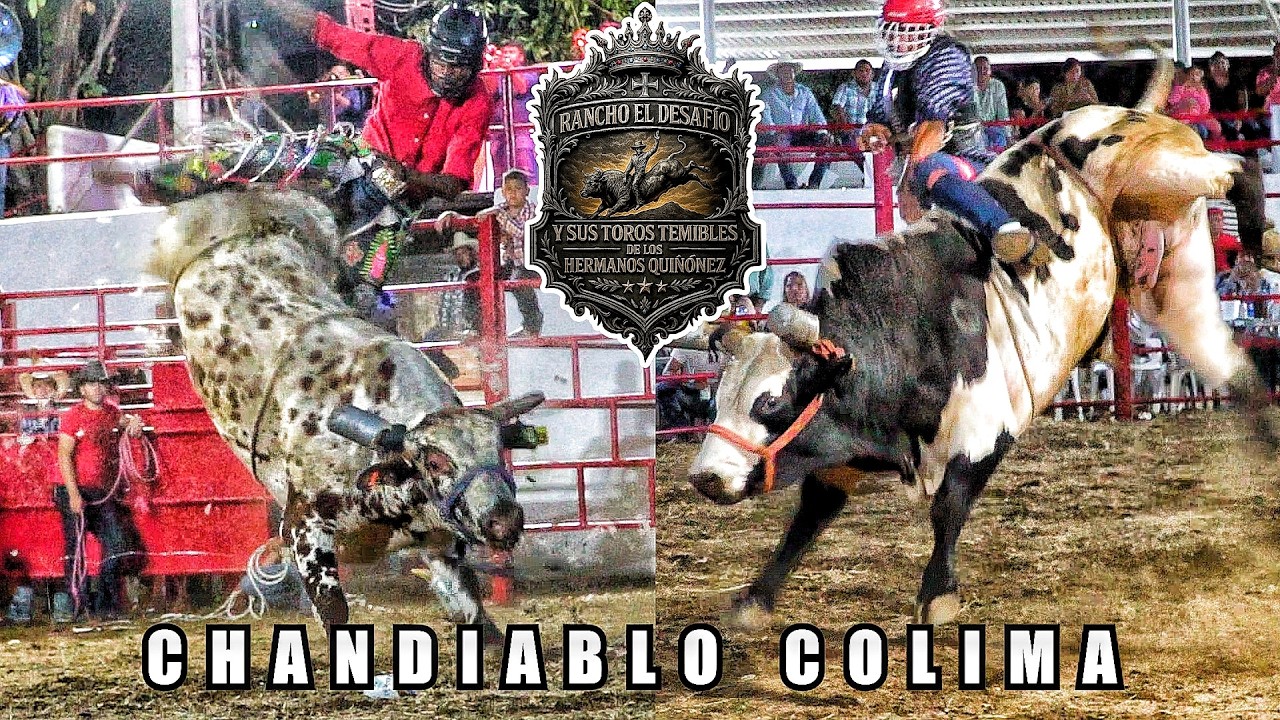 ¡UNA GANADERIA JOVEN QUE ESTA ABRIENDO CAMPO EN EL JARIPEO! RANCHO EL DESAFIO EN CHANDIABLO COL 2026