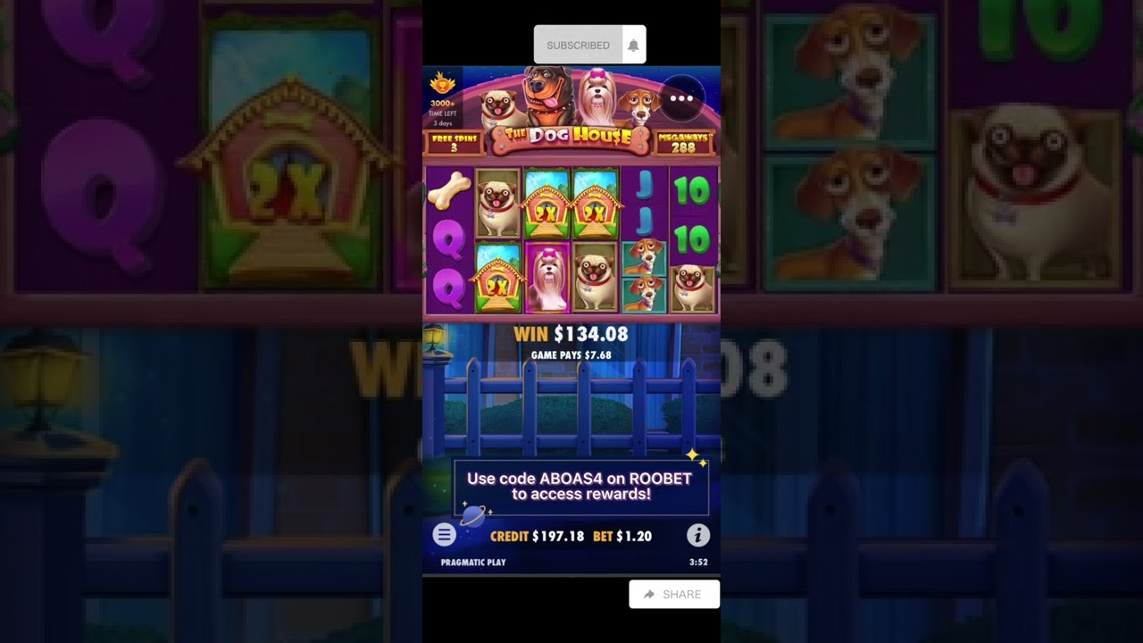 The Dog House Megaways sticky wilds bonus 7 spins! PROFIT