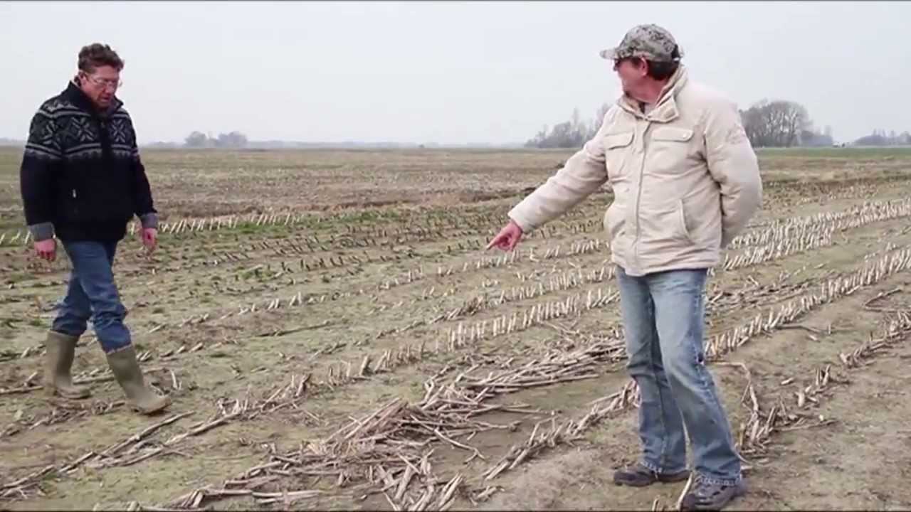 GPTV: Eerste Kievitsei van 2014 in Fryslan