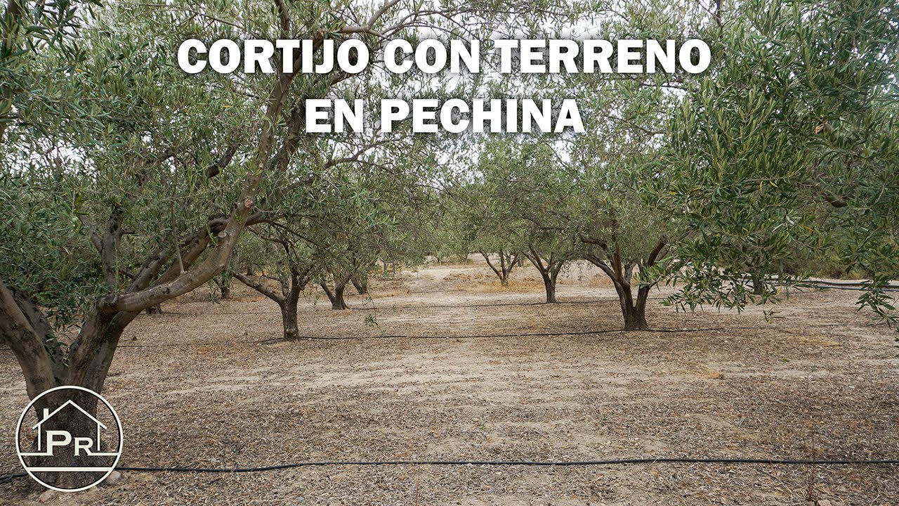 Cortijo con terreno en Pechina