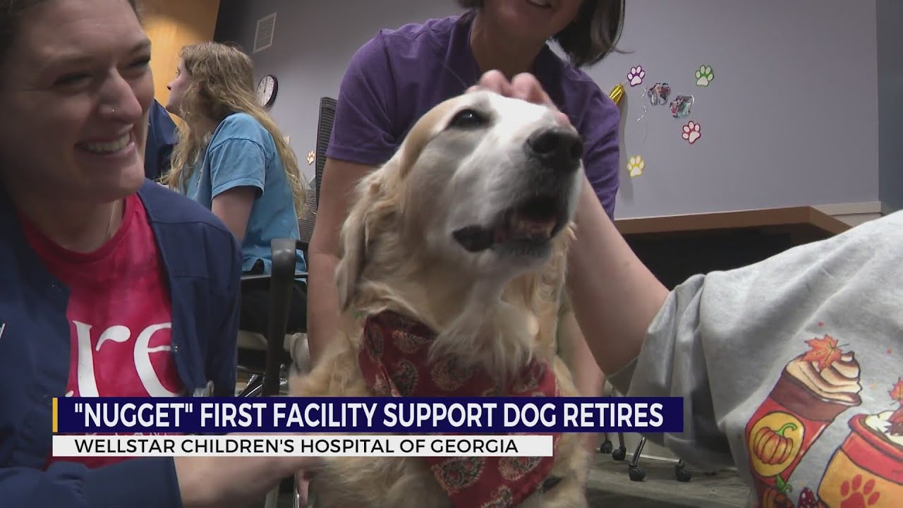 'Nugget', first facility support dog at Children's Hospital of Georgia, retires