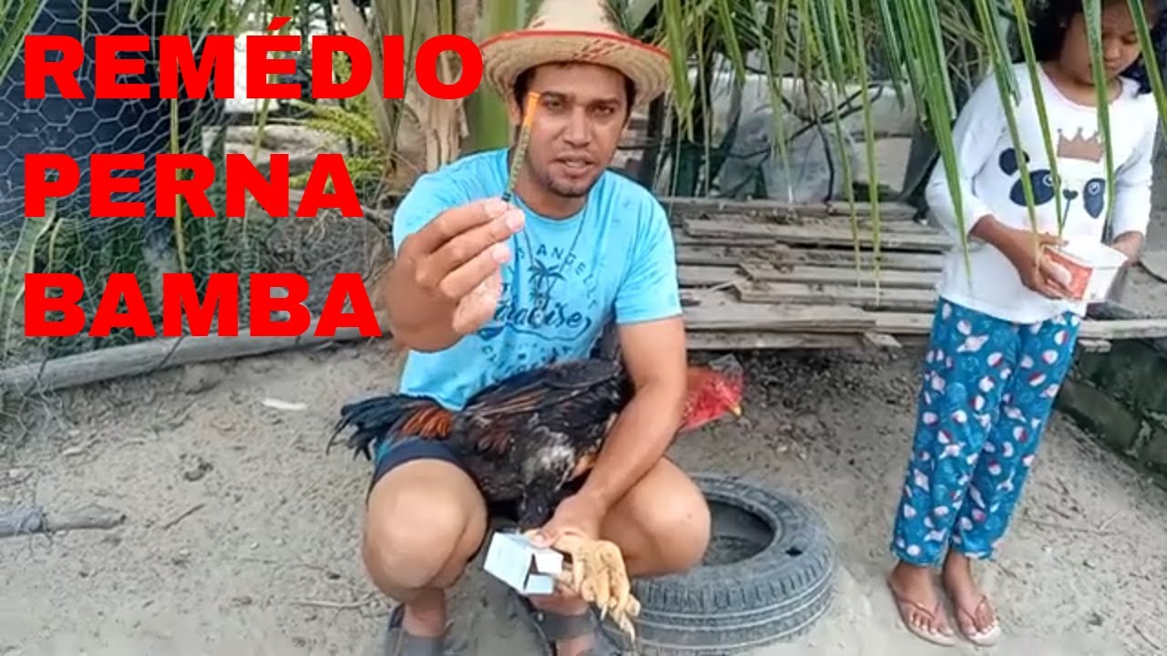 MELHOR Remédio para GALO E GALINHA  com PERNA BAMBA como CURAR?  o que fazer para prevenir?