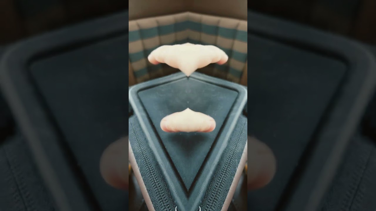 Don’t be afraid of spiders or I will tickle you￼