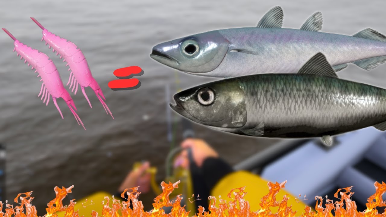 Leveling up marine fishing skill spot after 65% | #786 Russian fishing 4