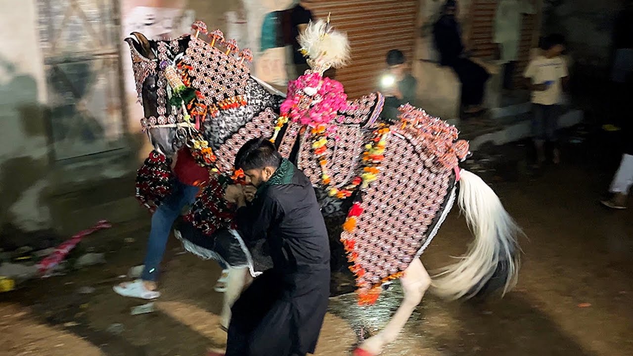 Waseem Hassan Mirza Ka Pir | 21 Saffar 1446/2024 | Tando Agah Hyderabad Sindh