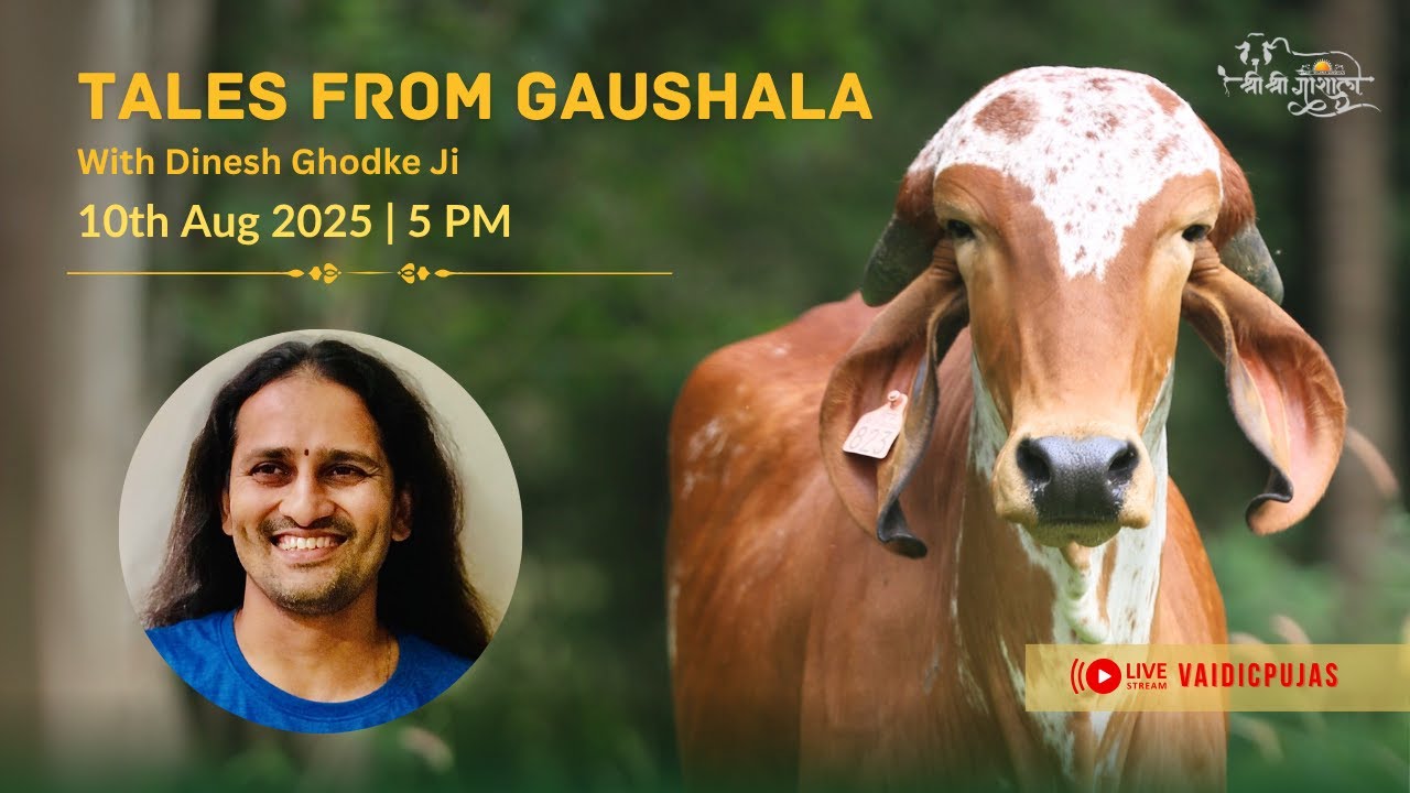 Tales From Gaushala with Dinesh Ghodke ji | Sri Sri Gaushala | Vaidic Dharma Sansthan