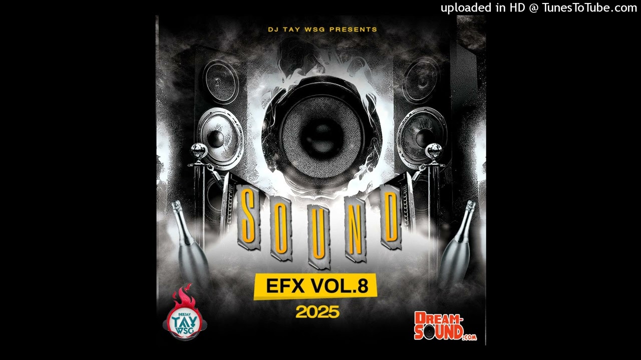 DJ TAY WSG - SOUND EFX VOL.8 2025 (AUDIO PREVIEW)