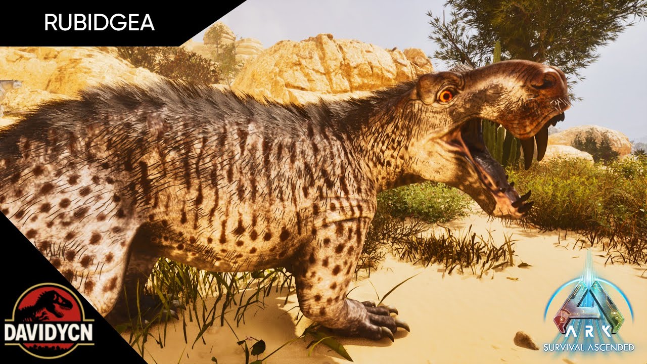 COMO DOMESTICAR A TU RUBIDGEA en Ark Ascended | Origin Creations - Rubidgea | como domesticar a tu..