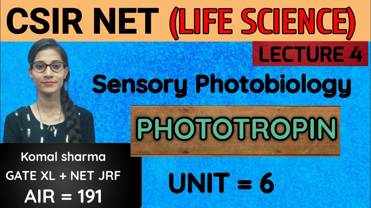 СЕНСОРНАЯ ФОТОБИОЛОГИЯ: ФОТОТРОПИН | CSIR-NET (НАУКИ О ЖИЗНИ) #csirnet #netjrf