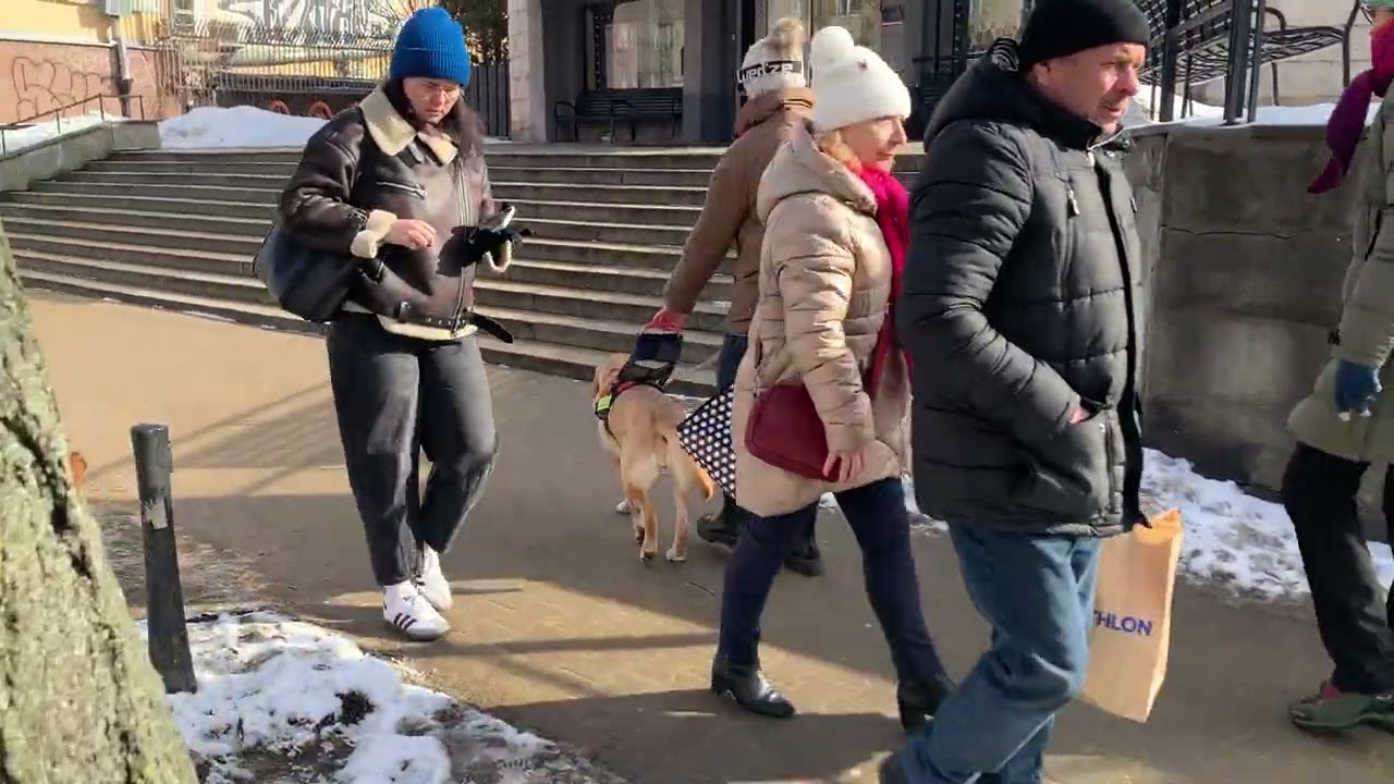 Pies przewodnik Mięta, egzamin