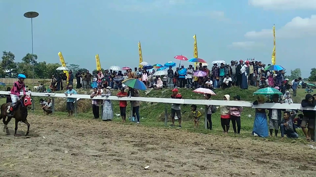 Pacun Kuda Pikatan 2019 - Kelas Sandel C (I)