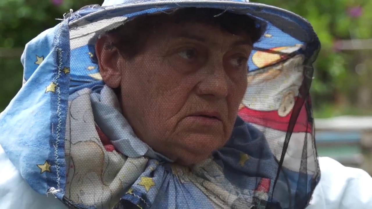 Beekeeper. Մեղվապահը. Пчеловод.