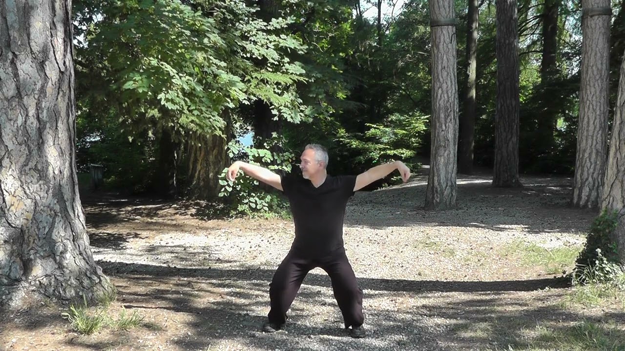 Le dragon joyeux apporte le bonheur et favorise la longévité, Qi Gong style Daoyin Yangsheng Gong