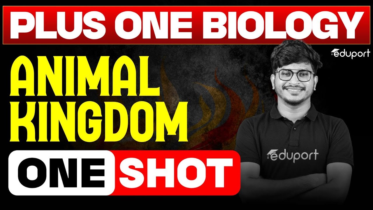 Animal Kingdom | One Shot | Plus One Biology Chapter 4 | Eduport Plus One