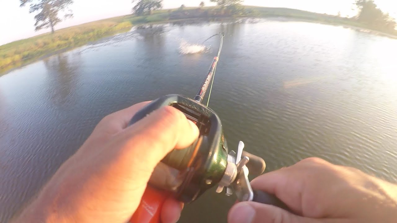Whopper Plopper Challenge