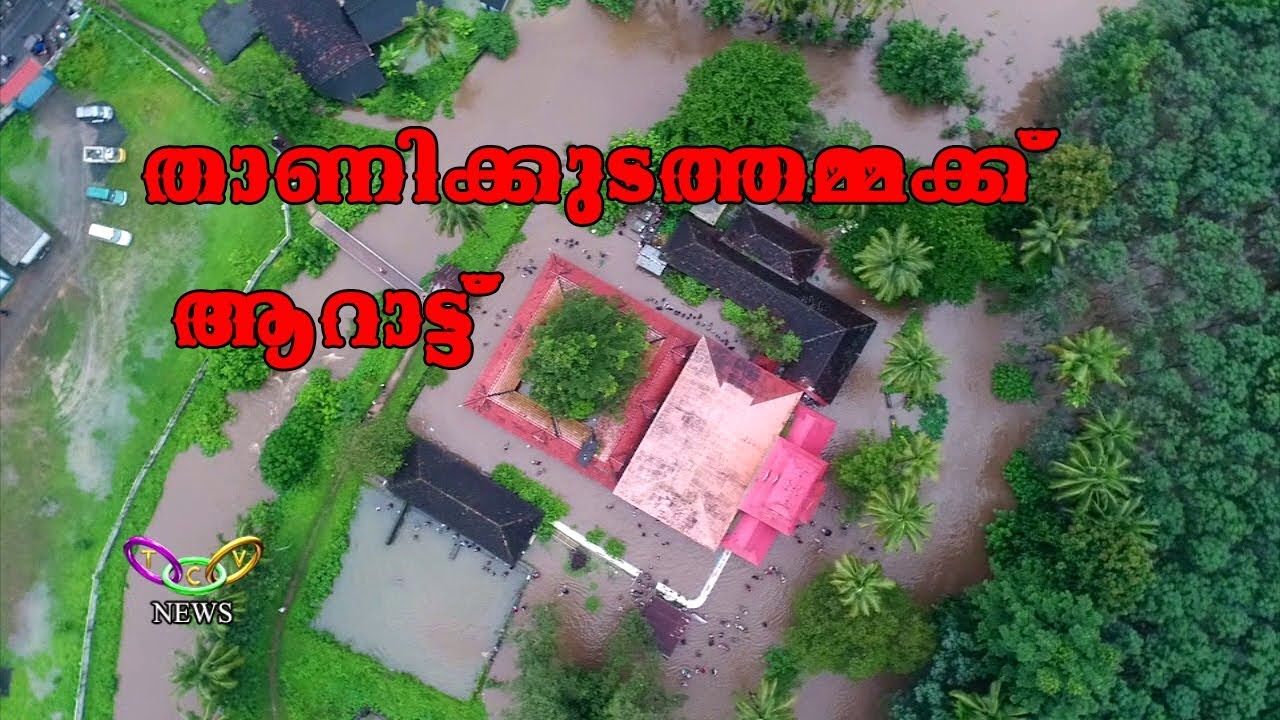 താണിക്കുടം ക്ഷേത്രത്തില്‍ ആറാട്ട് | T.C.V. Thrissur
