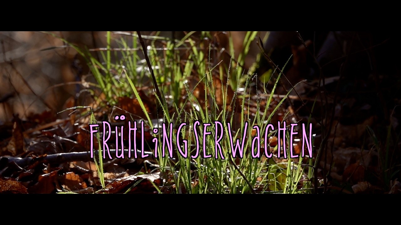 Frühlingserwachen