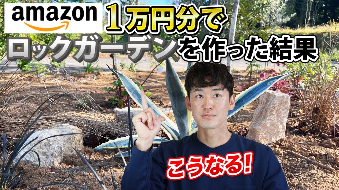 【1万円で出来るロックガーデン】アマゾンで庭石を買ってロックガーデンを作ってみたらこうなった