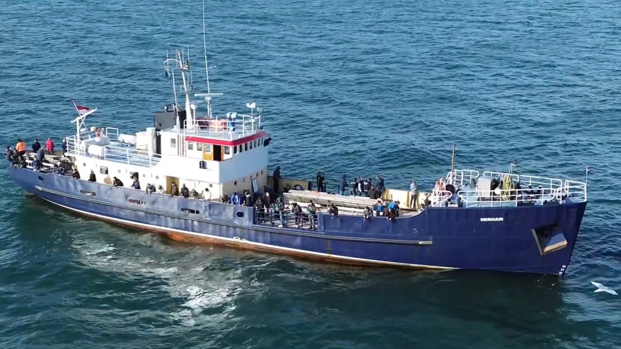Wrakvissen / Zeevissen op de Mercuur Den Helder 18-10-2025 