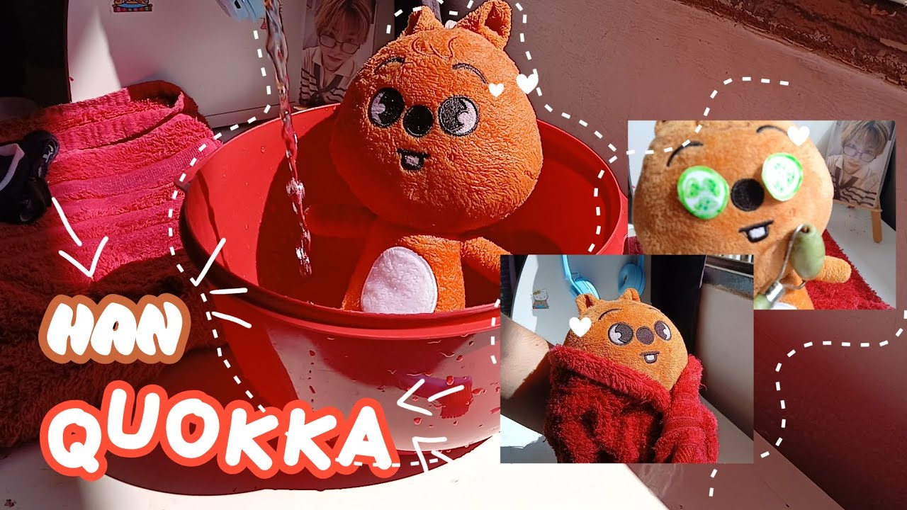 COMO LAVAR SEU SKZOO - Banho + Spa Day do Quokkinha ✨ 🐿️