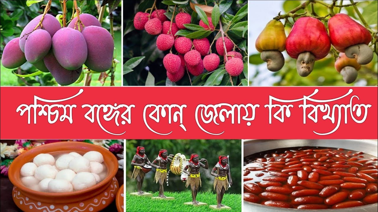 জেনে নিন - পশ্চিম বঙ্গের কোন্ জেলায় কি বিখ্যাত❓Which Things are famous in which district in W.B❓